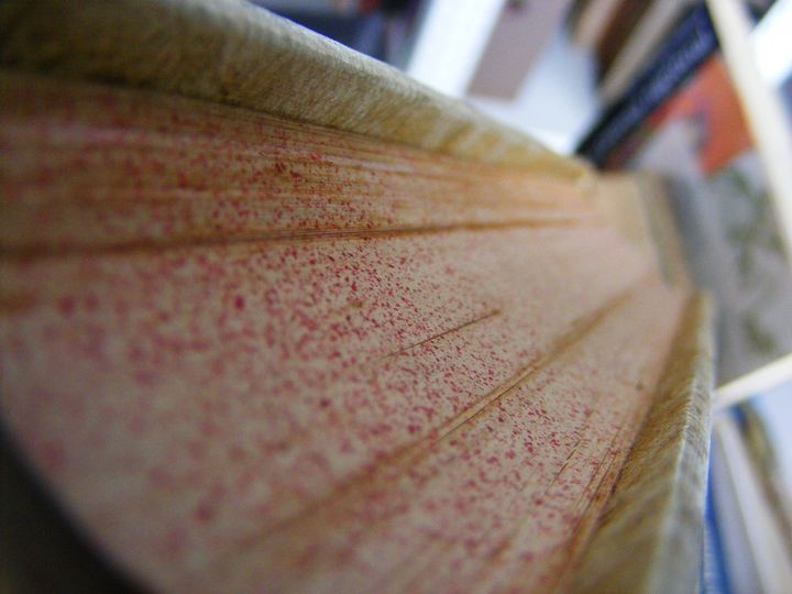 biblioteca 129 copy.jpg